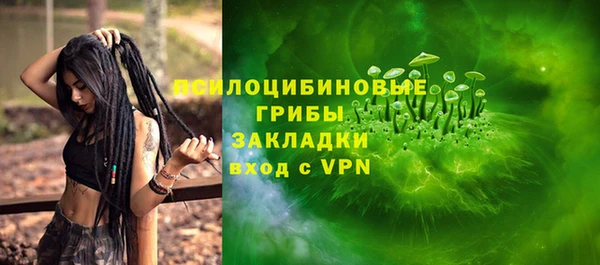 мдпв Заводоуковск