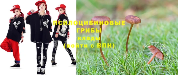 мдпв Заводоуковск