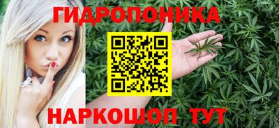 амф Гай