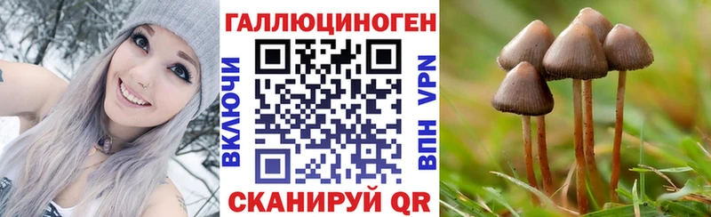 Галлюциногенные грибы Psilocybine cubensis Ирбит