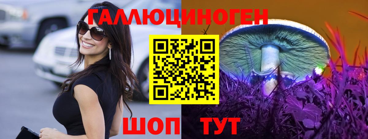 купить наркоту  Вход с VPN  Ирбит  Галлюциногенные грибы Cubensis  Галлюциногенные грибы Psilocybe 